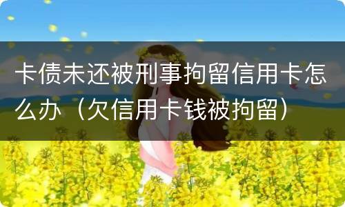 卡债未还被刑事拘留信用卡怎么办（欠信用卡钱被拘留）