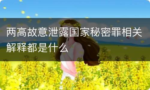 两高故意泄露国家秘密罪相关解释都是什么