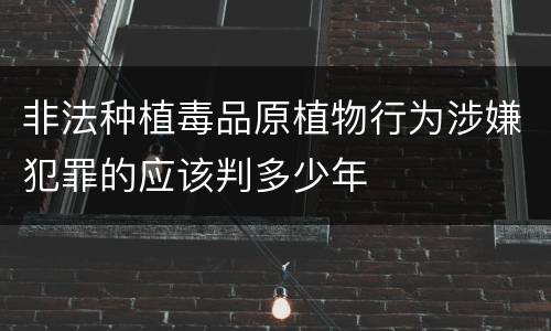 非法种植毒品原植物行为涉嫌犯罪的应该判多少年