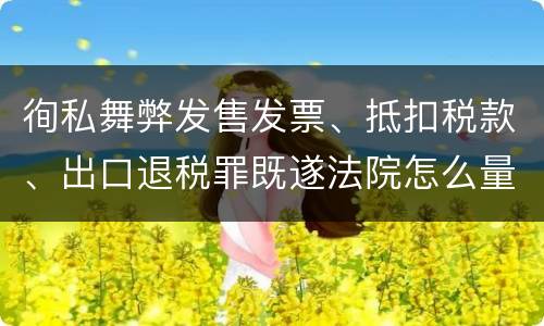 徇私舞弊发售发票、抵扣税款、出口退税罪既遂法院怎么量刑