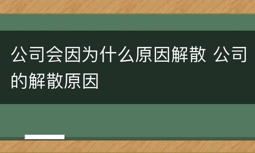 公司会因为什么原因解散 公司的解散原因