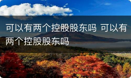 可以有两个控股股东吗 可以有两个控股股东吗