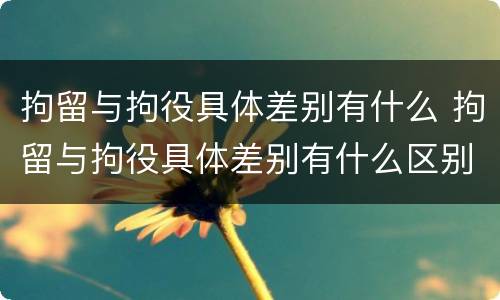 拘留与拘役具体差别有什么 拘留与拘役具体差别有什么区别吗