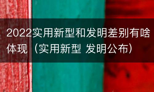 2022实用新型和发明差别有啥体现（实用新型 发明公布）