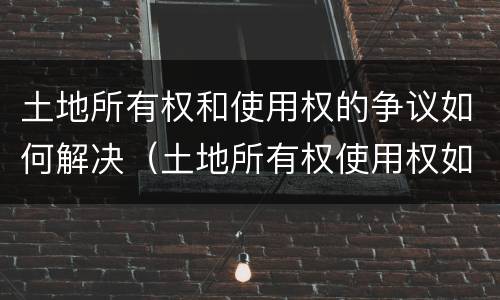 土地所有权和使用权的争议如何解决（土地所有权使用权如果产生争议如何解决）