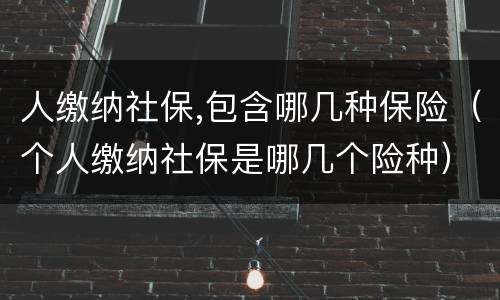 人缴纳社保,包含哪几种保险（个人缴纳社保是哪几个险种）