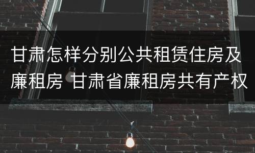 甘肃怎样分别公共租赁住房及廉租房 甘肃省廉租房共有产权管理办法