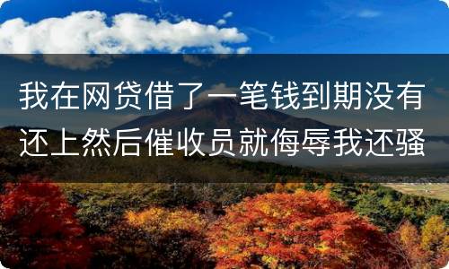 我在网贷借了一笔钱到期没有还上然后催收员就侮辱我还骚扰我朋友圈
