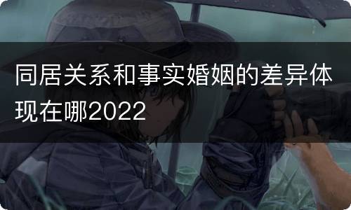 同居关系和事实婚姻的差异体现在哪2022