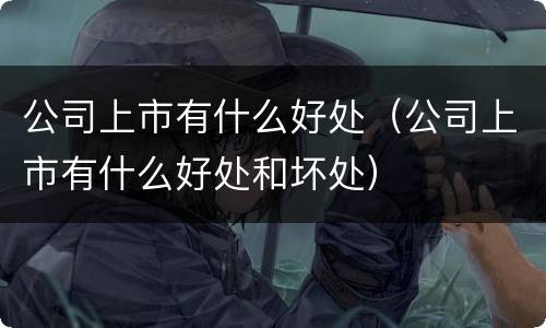 公司上市有什么好处（公司上市有什么好处和坏处）