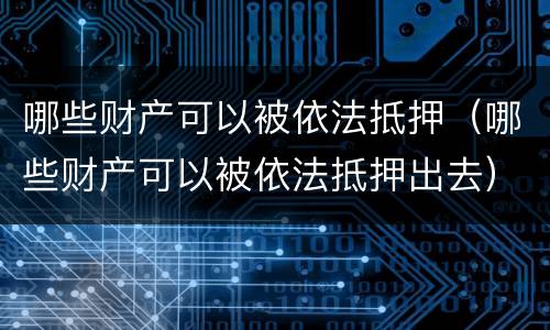 哪些财产可以被依法抵押（哪些财产可以被依法抵押出去）