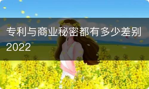 专利与商业秘密都有多少差别2022