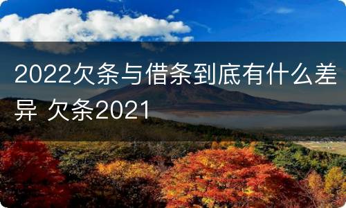 2022欠条与借条到底有什么差异 欠条2021
