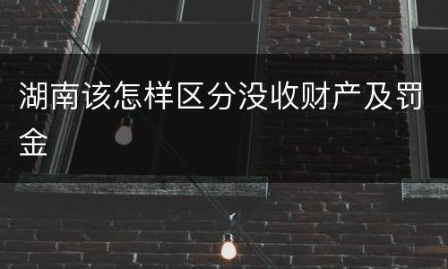 湖南该怎样区分没收财产及罚金