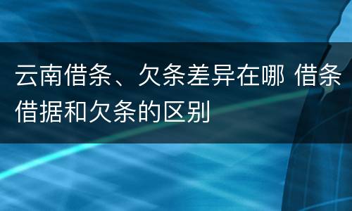云南借条、欠条差异在哪 借条借据和欠条的区别