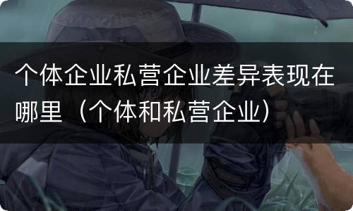 个体企业私营企业差异表现在哪里（个体和私营企业）