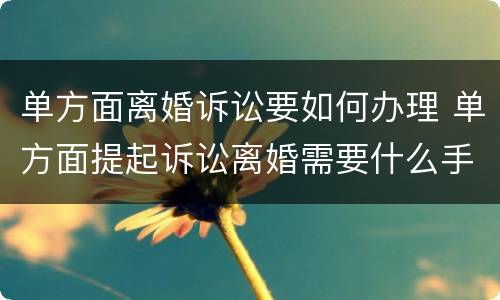单方面离婚诉讼要如何办理 单方面提起诉讼离婚需要什么手续