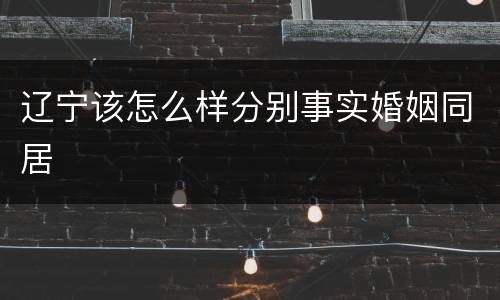 辽宁该怎么样分别事实婚姻同居