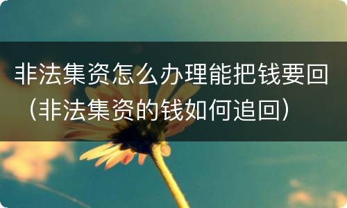 非法集资怎么办理能把钱要回（非法集资的钱如何追回）