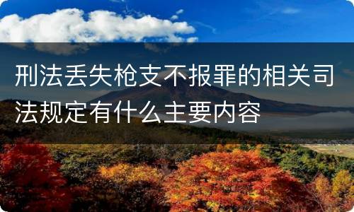 刑法丢失枪支不报罪的相关司法规定有什么主要内容