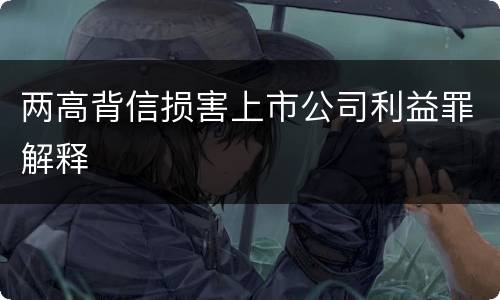 两高背信损害上市公司利益罪解释