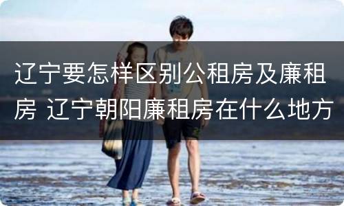 辽宁要怎样区别公租房及廉租房 辽宁朝阳廉租房在什么地方
