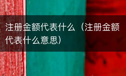注册金额代表什么（注册金额代表什么意思）