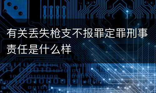 有关丢失枪支不报罪定罪刑事责任是什么样