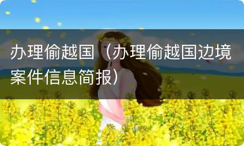 办理偷越国（办理偷越国边境案件信息简报）