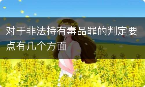 对于非法持有毒品罪的判定要点有几个方面