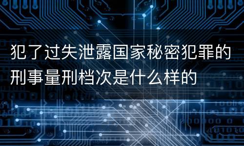 犯了过失泄露国家秘密犯罪的刑事量刑档次是什么样的