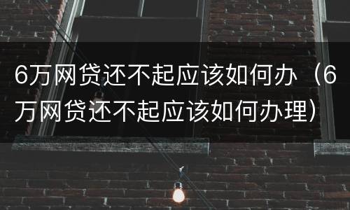 6万网贷还不起应该如何办（6万网贷还不起应该如何办理）