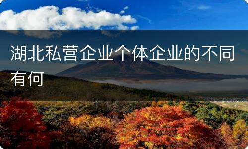 湖北私营企业个体企业的不同有何