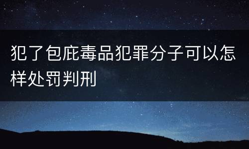 犯了包庇毒品犯罪分子可以怎样处罚判刑