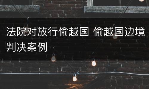 法院对放行偷越国 偷越国边境判决案例