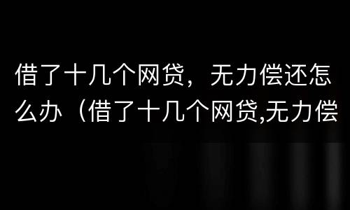 借了十几个网贷，无力偿还怎么办（借了十几个网贷,无力偿还怎么办理）