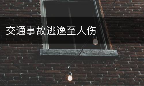 交通事故逃逸至人伤