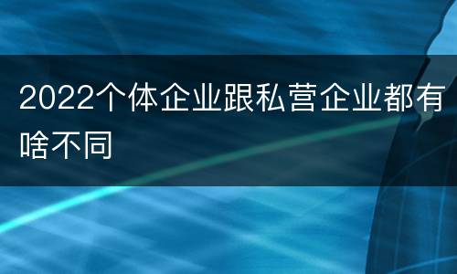 2022个体企业跟私营企业都有啥不同