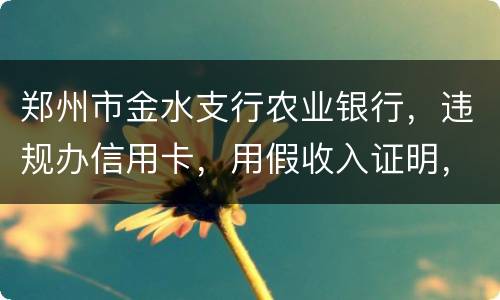 郑州市金水支行农业银行，违规办信用卡，用假收入证明，假行车证，没面签，办信用卡，