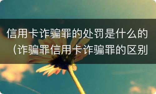 信用卡诈骗罪的处罚是什么的（诈骗罪信用卡诈骗罪的区别）