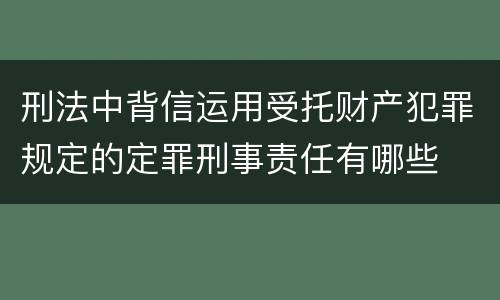 刑法中背信运用受托财产犯罪规定的定罪刑事责任有哪些