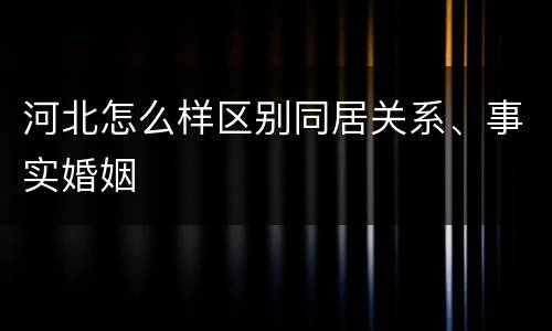 河北怎么样区别同居关系、事实婚姻