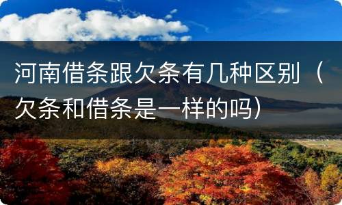 河南借条跟欠条有几种区别（欠条和借条是一样的吗）