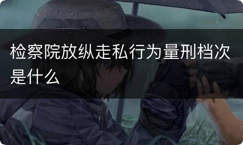 检察院放纵走私行为量刑档次是什么