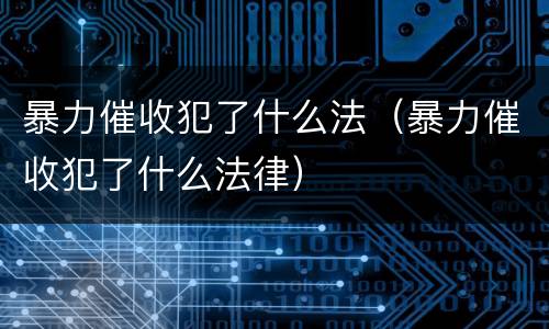 暴力催收犯了什么法（暴力催收犯了什么法律）