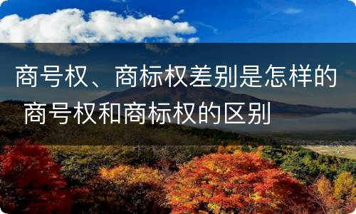 商号权、商标权差别是怎样的 商号权和商标权的区别