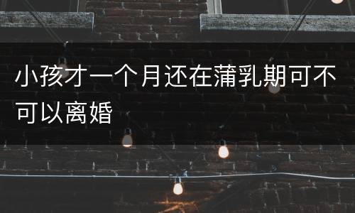 小孩才一个月还在蒲乳期可不可以离婚