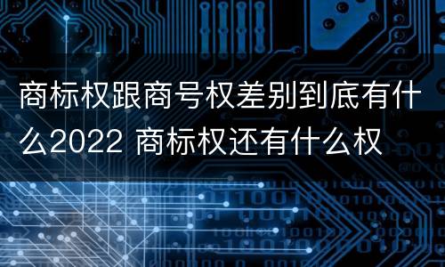 商标权跟商号权差别到底有什么2022 商标权还有什么权