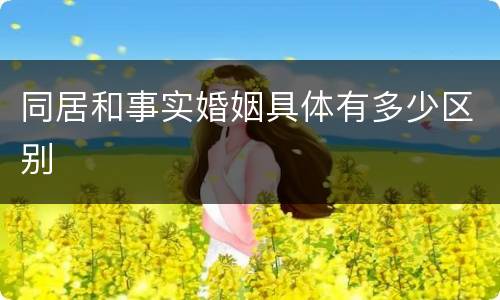 同居和事实婚姻具体有多少区别