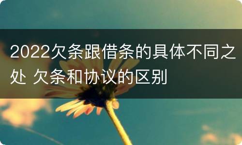 2022欠条跟借条的具体不同之处 欠条和协议的区别